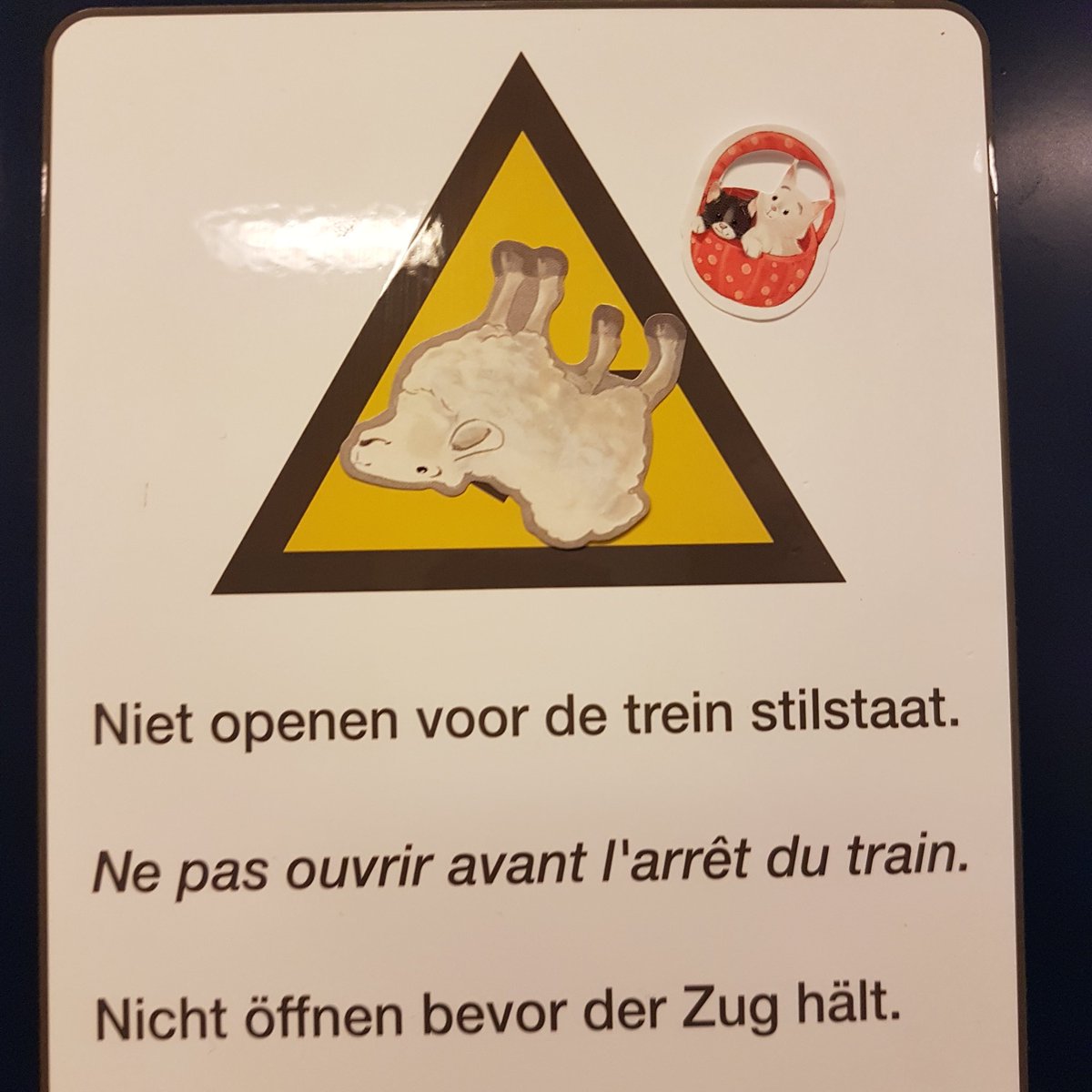 BColiflower's tweet image. :)