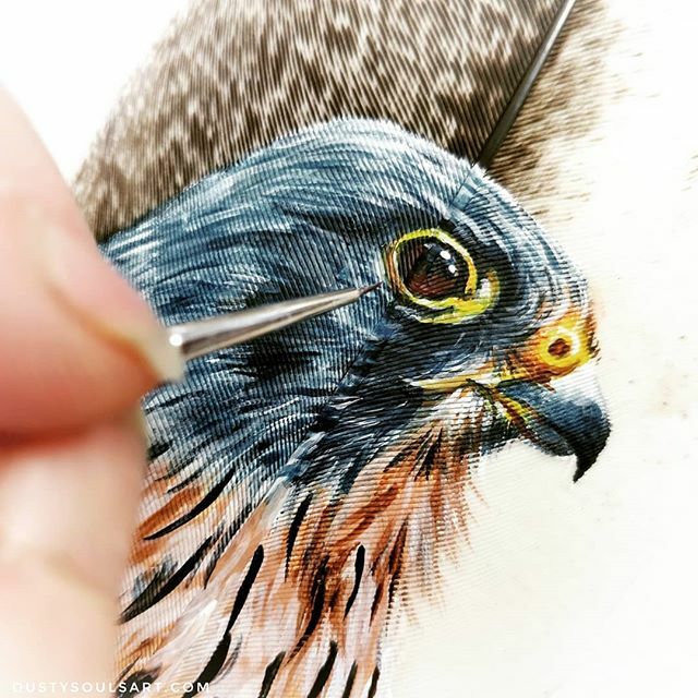 DustySoulsArt's tweet photo. Handpainted kestrel on peacock feather. .
🦅🦅🦅.
.
#paintedfeathers #featherart #dustysoulsart #raptors #kestrel #featherpainting #birdart #birdofprey #skyhunter #imogenclark #feathersofinstagram https://t.co/PZIiKZ8hQd https://t.co/TkfgtTfOol