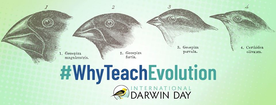 NwosuPsych's tweet image. It&apos;s International Darwin Day!  #WhyTeachEvolution