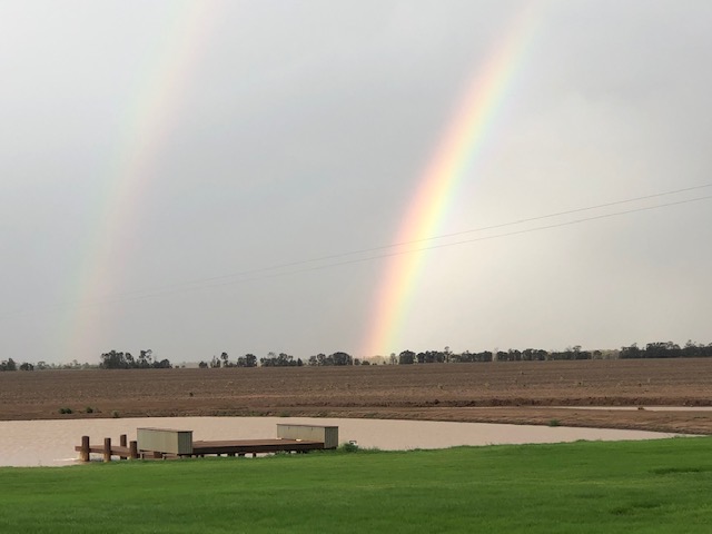 Pure Grain Network tweet media