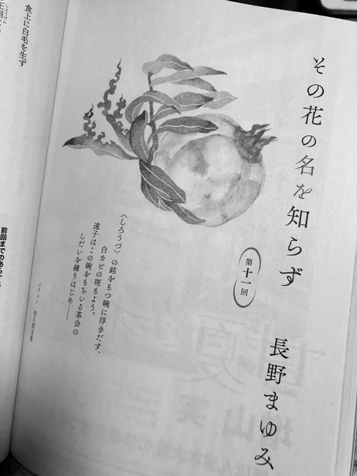 長野まゆみ先生の連載「その花の名を知らず」第11話?
行方不明の柘榴の器からモチーフを引っ張ってきました。物語も目が離せない深みに突入してきましたね…!

#KADOKAWA
#長野まゆみ
#その花の名を知らず 