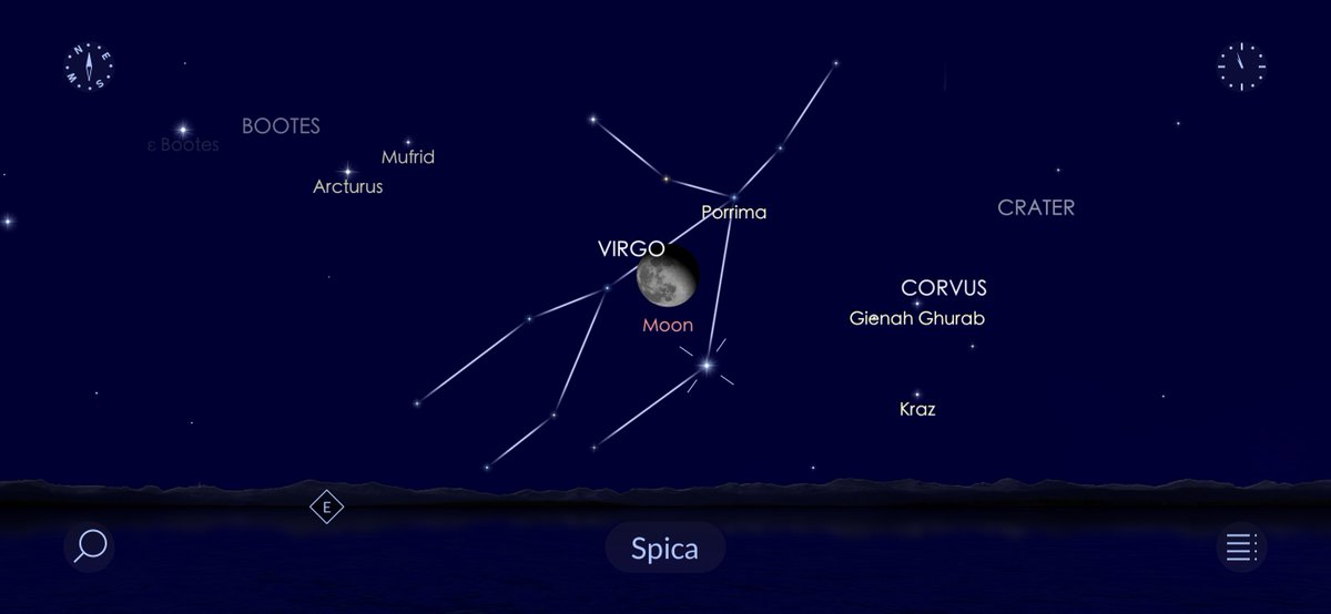 Star Walk In The Evening Sky On February 12 And In The Predawn Sky On February 13 Find Spica The Brightest Star In The Constellation Virgo And One Of The Star Walk In The Evening Sky On February 12 And In The Predawn Sky On February 13 Find Spica The Brightest Star In The Constellation Virgo And One Of The