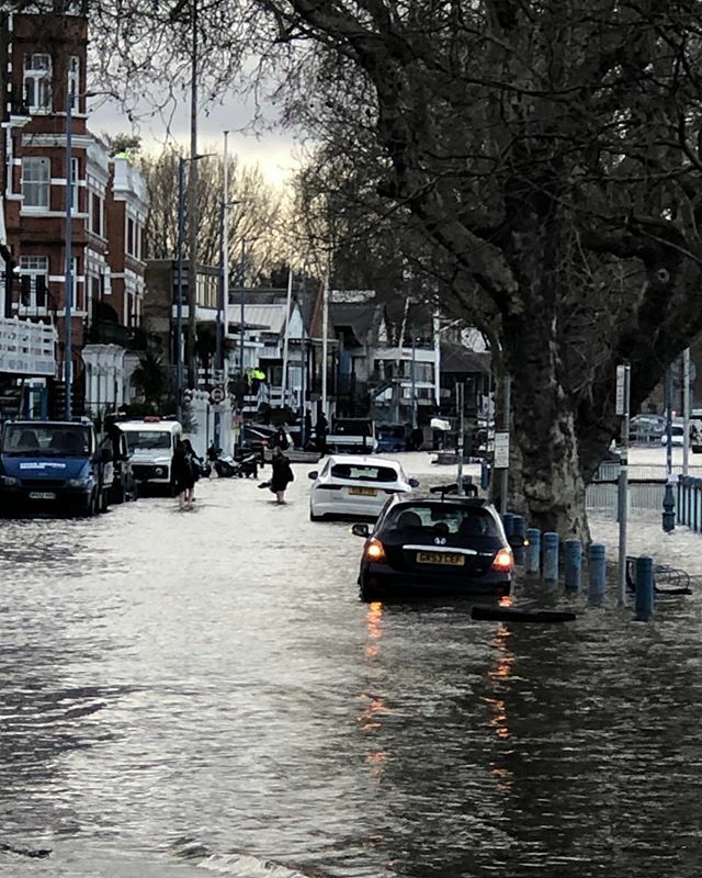 flare_yoga's tweet photo. Someone is having a worse day than they realise 😖 
#flood #riverthames #towpath #putney #badday #car https://t.co/Q762fJ6e0L https://t.co/eiD5DQ9lHH