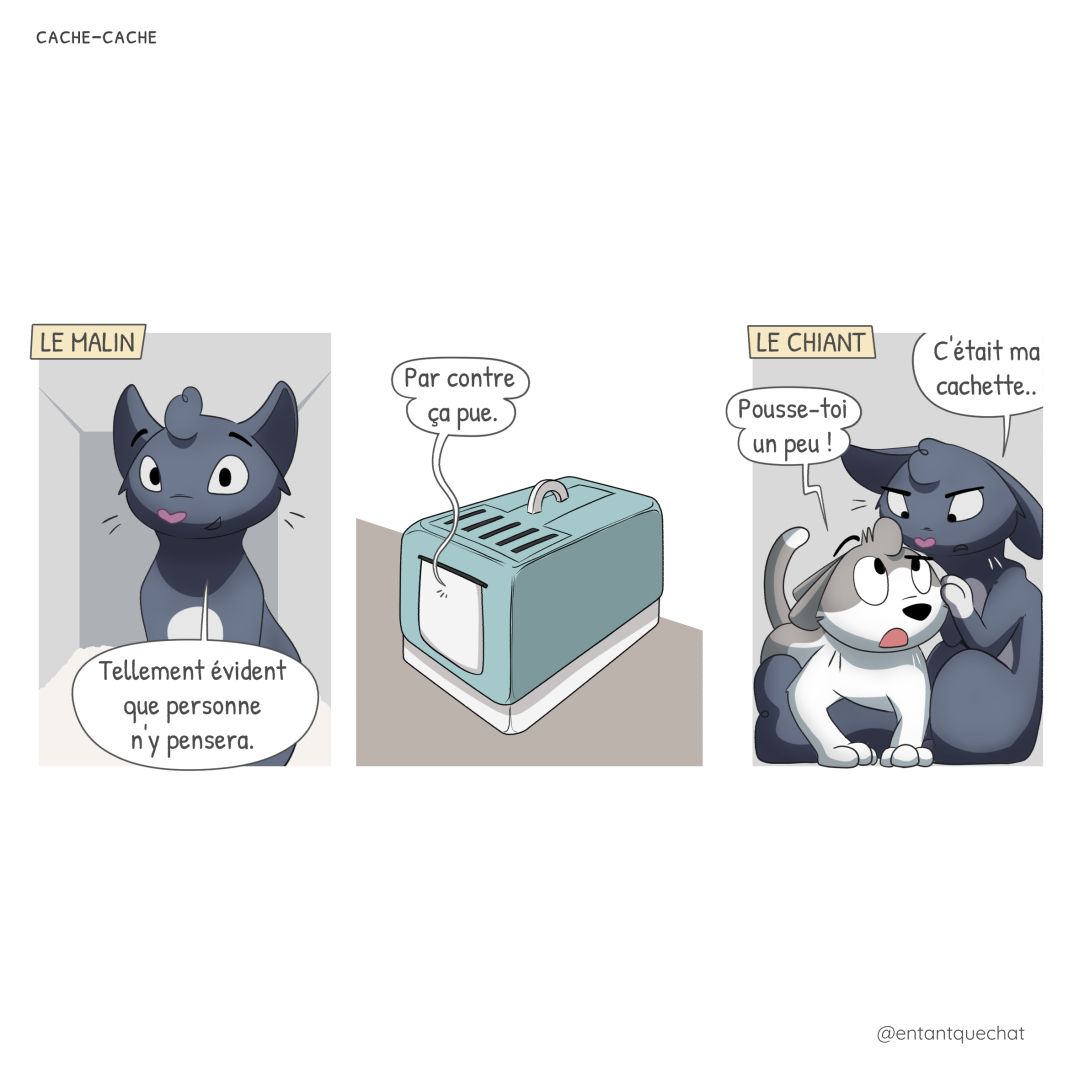 entantquechat's tweet photo. Les différentes techniques de cache-cache revisitées par les chats, première partie 😺 #bandedessinée #bandedessinee #blogbd #chats #chatons #stripbd #comicstrip #illustration #illustratrice #dessin #dessinnumerique #dessiner #cartoon #casebd #planchebd https://t.co/dKebPKV8iY