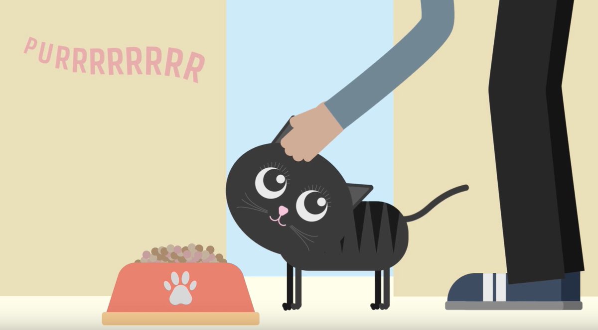 🥳We are so pleased to have partnered with the <a href="/NSSPCA/">Nova Scotia SPCA</a> on this very important spot! We produced this animated video to help show the ways that you can make a gift to help animals in need in your community. Support second chances and donate today! 😺🐶🐰youtu.be/EY7pleSeyUQ
