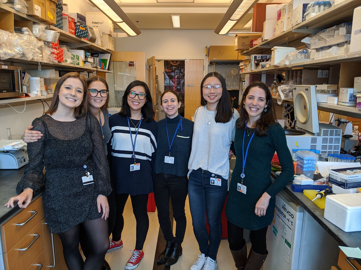 Joseph Sun Lab (@sunlab_official) on Twitter photo So glad to have all these brilliant scientists in my lab! <a href="/ScientistBecs/">Dr Becs</a> <a href="/amujal/">Adriana Mujal</a> <a href="/jess_sharrock/">Jess Sharrock</a> <a href="/ariella/">ariella</a> <a href="/cqdang/">Celeste Dang</a> #WomenInSTEM #WomenInSceince So glad to have all these brilliant scientists in my lab! <a href="/ScientistBecs/">Dr Becs</a> <a href="/amujal/">Adriana Mujal</a> <a href="/jess_sharrock/">Jess Sharrock</a> <a href="/ariella/">ariella</a> <a href="/cqdang/">Celeste Dang</a> #WomenInSTEM #WomenInSceince
