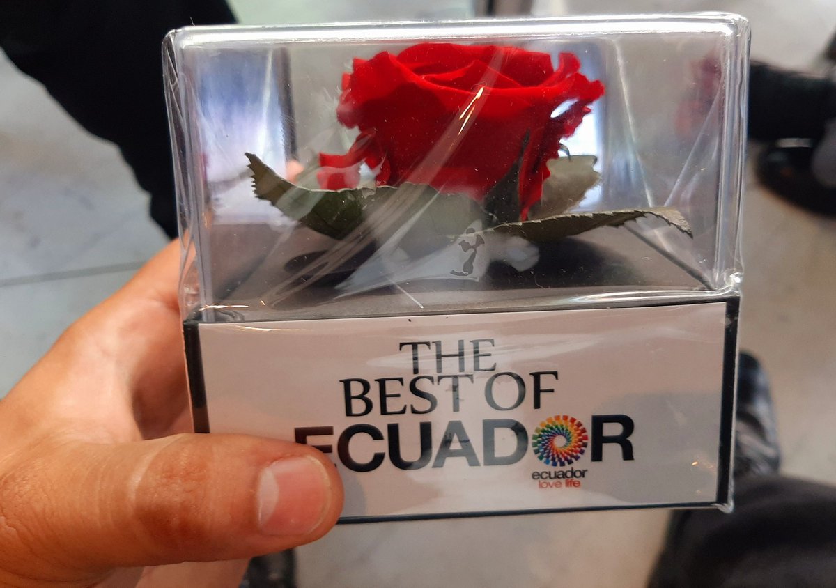 AntAbbatemarco's tweet photo. #Rosa disecada procedente de #Ecuador. Subsiste dos años y se extingue. Más o menos el tiempo promedio (según los analistas) que duran las #relaciones #sentimentales en la era contemporánea. https://t.co/YtNRAoptHY