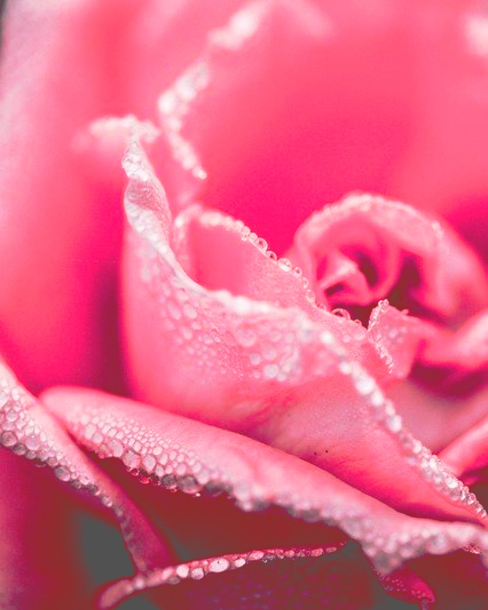 HT_Grill's tweet image. ⁞⁝✦⁞⁚𖣊⁚⁞✦⁝⁞ Celebrate Your Valentine's at HT! 💘 Call for Reservations  ☙𒁯➶🥂➶𒁯❧  #HTGRILL #IrishForAll #rivieravillage #love #bemyvalentine || 📸 @ryanfranklinlang