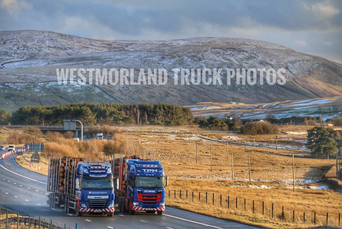 Westtruckphotos's tweet photo. Thompson’s Daf powering passed the Scania on the climb #Daf #Scania #Timbertrucks #timbertang @TrucknDriver https://t.co/4chv4nqHxI