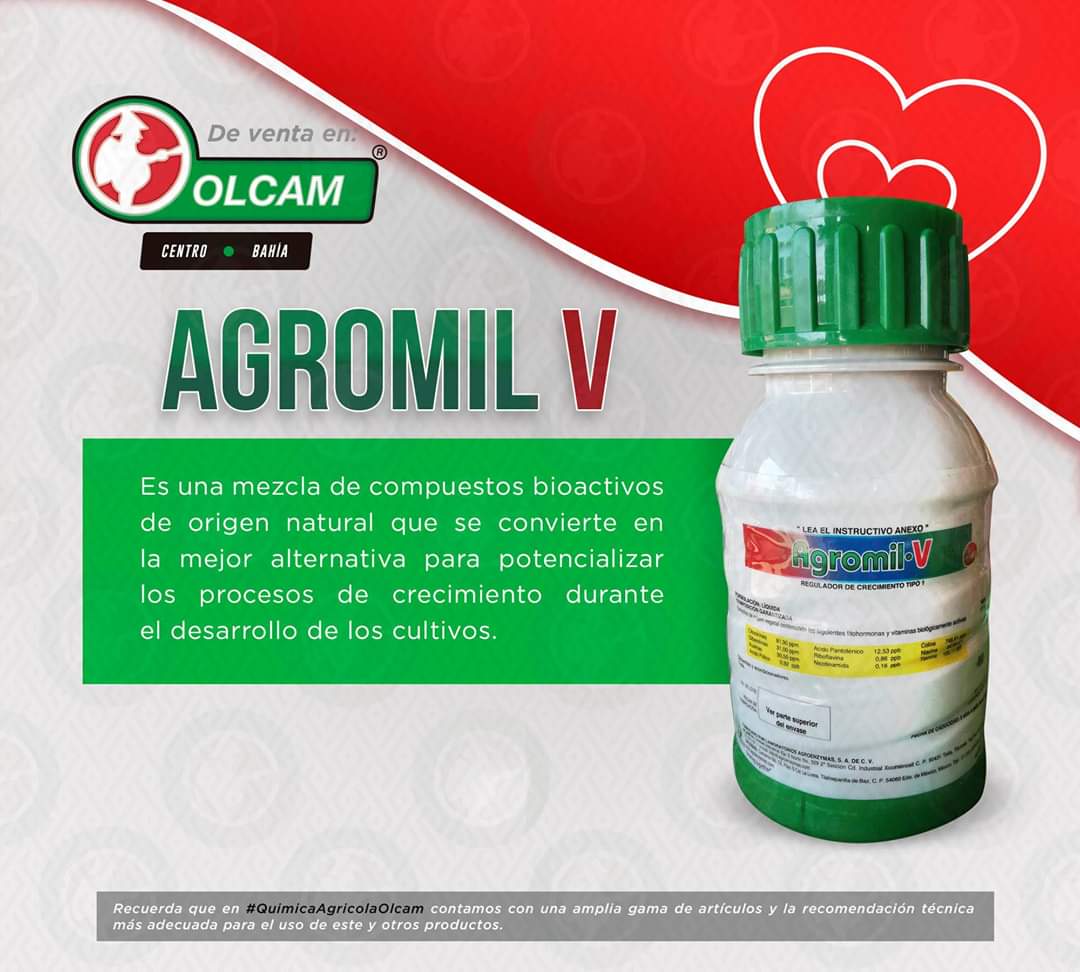OlcamMX's tweet photo. Bioestimulante hormonal complejo para mantenimiento fisiológico; su balance hormonal y la reactividad de sus compuestos potencializan el crecimiento de vida de sus plantas florales de jardineria, frutales y cultivos. #QuimicaAgricolaOlcam 
#Acapulco #Olcam #12deFebrero https://t.co/MTCzaGfrTY