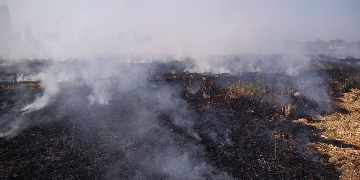 Para la Bomba Fundadora hoy a sido un día agotador tras trabajar en dos incendios de pastizales de grandes  proporciones la labor fue el ataque directo para proteger casas que estaban en peligro FIRME LA PRIMERA