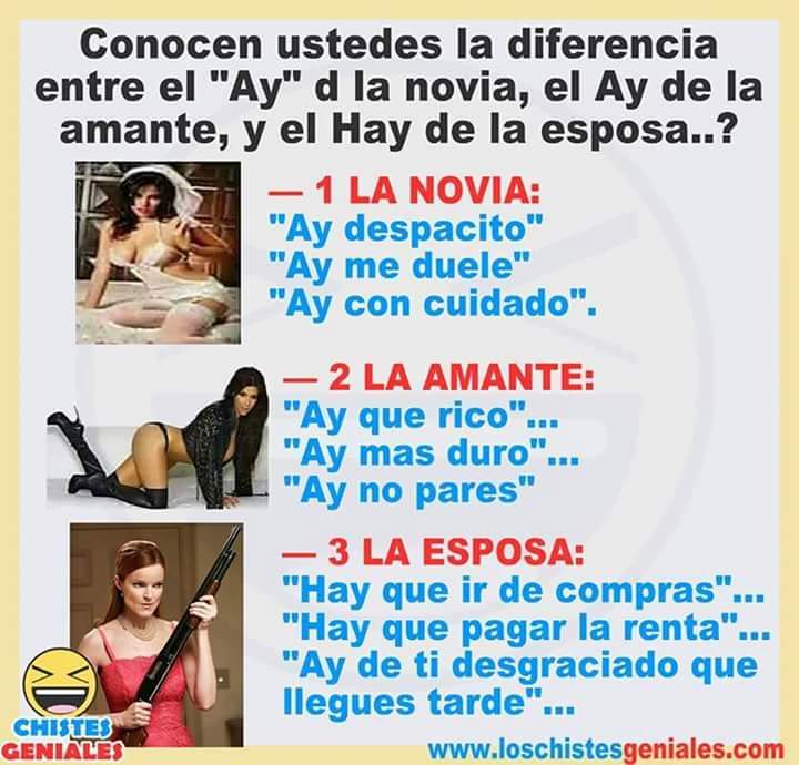 JAVY tweet media