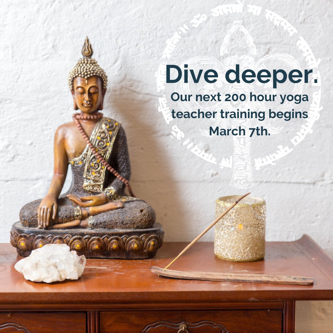 Whether or not you're interested in teaching, a teacher training program can bring a new depth to your practice and a greater understanding of the yoga tradition. 

Our next YTT program begins March 7th. Click here learn more: buff.ly/30JP3WG