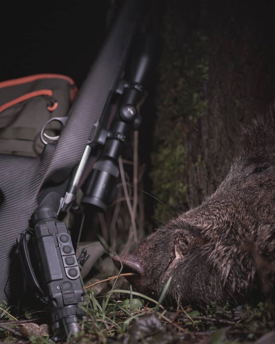 SportsmenOnly's tweet photo. 🐗🌿

#hunting #hunter #pulsar #xp50 #pulsarnightvision #forest #boar #hoghunting #texashoghunting #thermalhunting #hoghunting #nighthunter #predatorhunter https://t.co/Oh34BAx7ls
