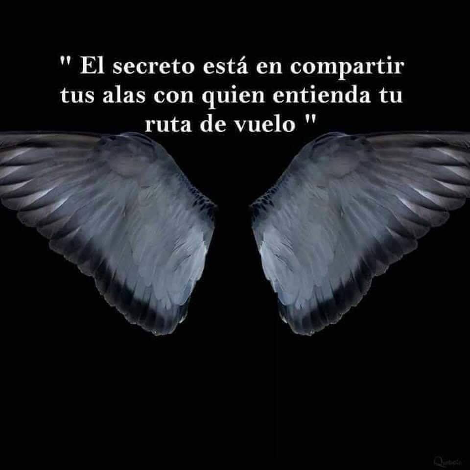 El secreto está en compartir tus alas con quien entienda tu ruta de  vuelo...\, image size:960x960