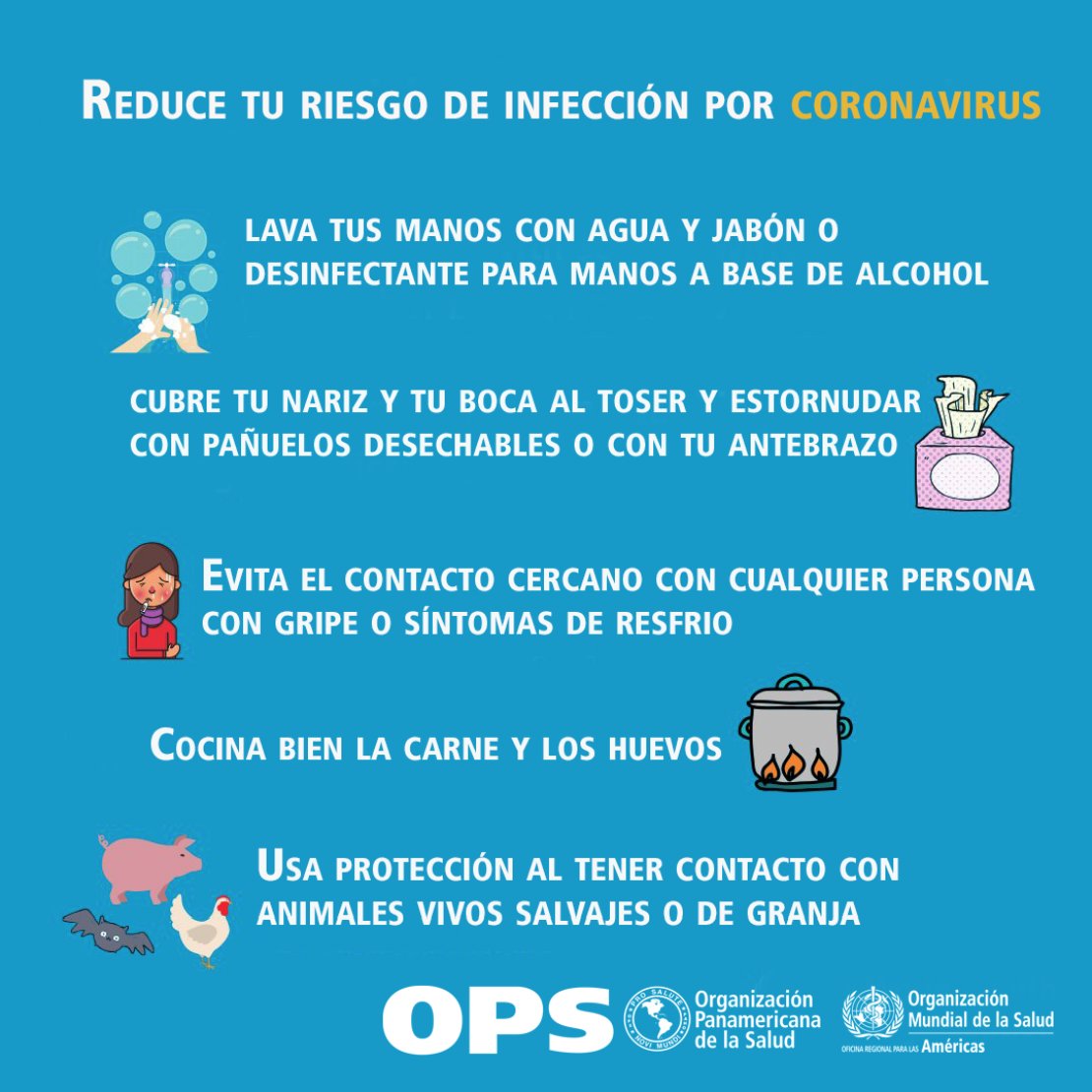 opsomsuruguay's tweet photo. Si deseas comprender los principios fundamentales de los virus respiratorios emergentes incluido el #COVID19 y cómo responder ante un brote, te invitamos a revisar este curso virtual💻gratuito abierto a todo público y en español 
👉🏼https://t.co/9qGDXONh47 https://t.co/kuL5Pe9Da6