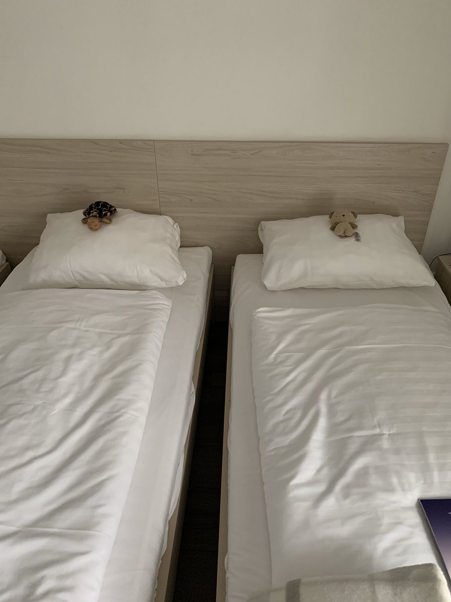 the house keepers in our hotel always look after our teddy’s 😂 <a href="/gicreativearts/">Great Island Creative Arts</a> @erasmusplusUK