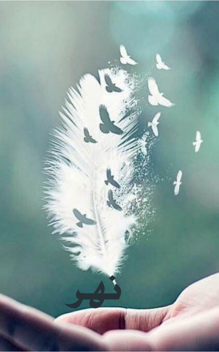 n_a32's tweet photo. 💚الإهتمام
لا يأتي إلا من شخص يريدك
الإهتمام يأتي من شخص أحبك بكل صدق
الإهتمام لمن يستحقه وليس لمن يطلبه
الإهتمام رسالة معناها كن معي دائما

🤚تذكر دائماً أن الإهتمام بالإهتمام
ومن إستغنى وتطاول عنا نحن عنه أغنى https://t.co/fiG1LHV4a5
