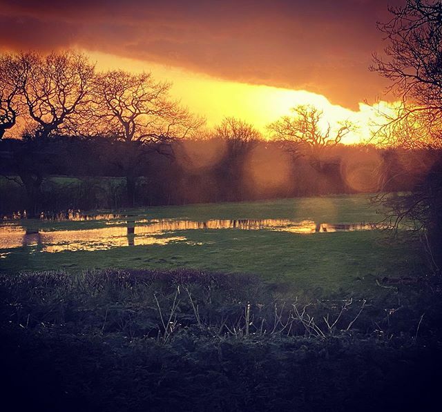 NikPickard's tweet photo. #sunset  reflecting in the rain drenched fields. https://t.co/MWRpDnOV6p https://t.co/Tjiysjkwzq
