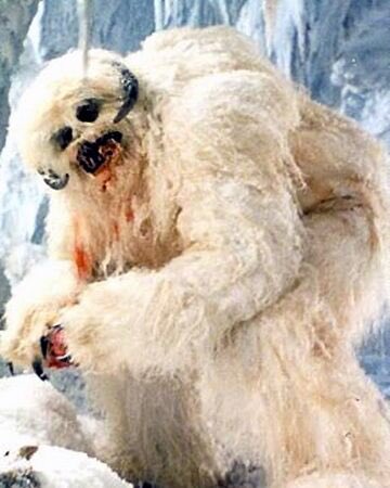 yeti Guyso obviously we all know this Guy but its good to know hes stick kickin after that tussle with Yukon Cornelius