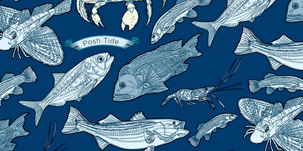 StaceyPosnett's tweet photo. So excited to release a new design - the awesome creatures of Jamaica Bay Queens, NY, USA! You can see it here:
https://t.co/waGLfgukjN
#jamaicabay #oceaninspired #funfish #rashguard #shirleychisholmstatepark #gonefishing #oceans https://t.co/YUXILFbq2Y