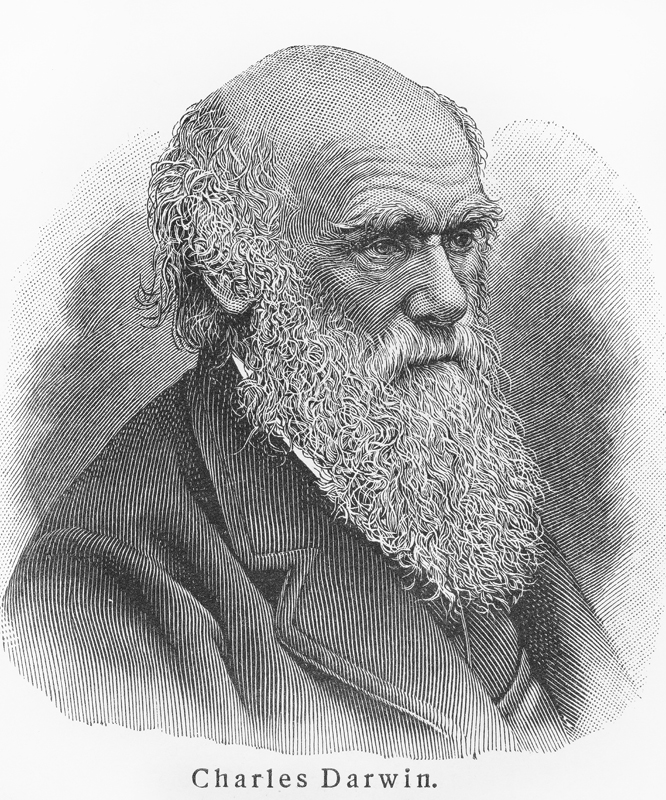 BillyBrand16's tweet photo. Happy birthday Charles Darwin #DarwinDay https://t.co/t4zCiq5RdR