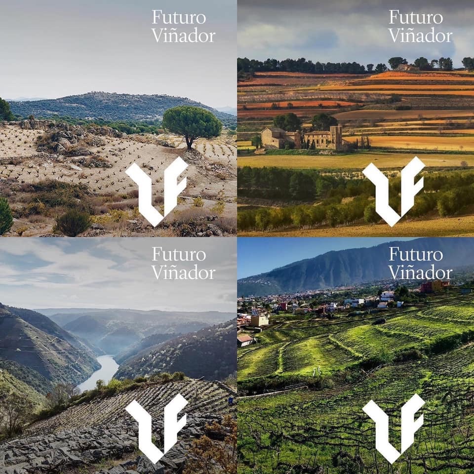 Caminamos juntos!!!!

futurovinador.com