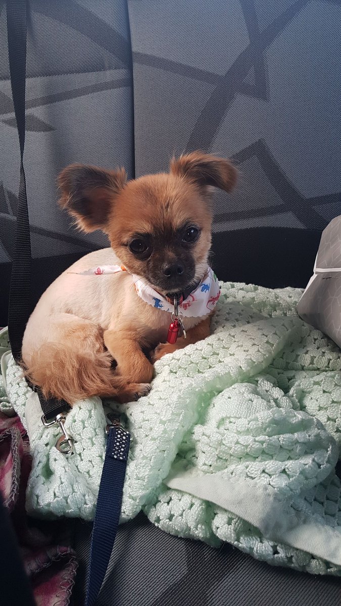 StarTheatrix's tweet photo. My handsome boy ❤❤❤ https://t.co/VUc5cft9ru
