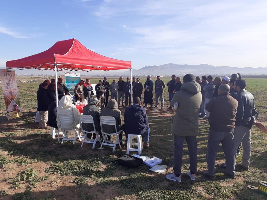 AlgeriaClca's tweet photo. Field day on the production of forages and weed control in cereals as part of the #CLCAproject, for the benefit of farmers of Saleh Bey in Setif in the demonstration site.
#ICARDA #IFAD #ITGC #CLCAproject #Algeria https://t.co/QhrVUigyGk
