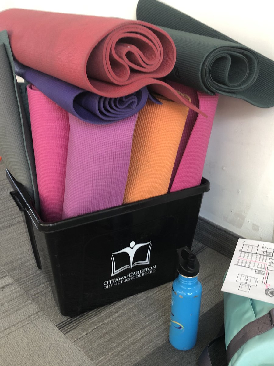 Susan Anderson Yoga tweet media