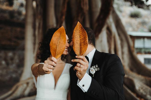 Eurcolor's tweet photo. Foglie e cuori! #wedding #orange #winter #foglie #weddinginsicily #sicilywedding #brideandgroom #villapulejo #weddingphotographer #mywed #anfmshare #love @sariolina_ @villapulejo https://t.co/phNzSWPM19 https://t.co/RZmqHQZh5A