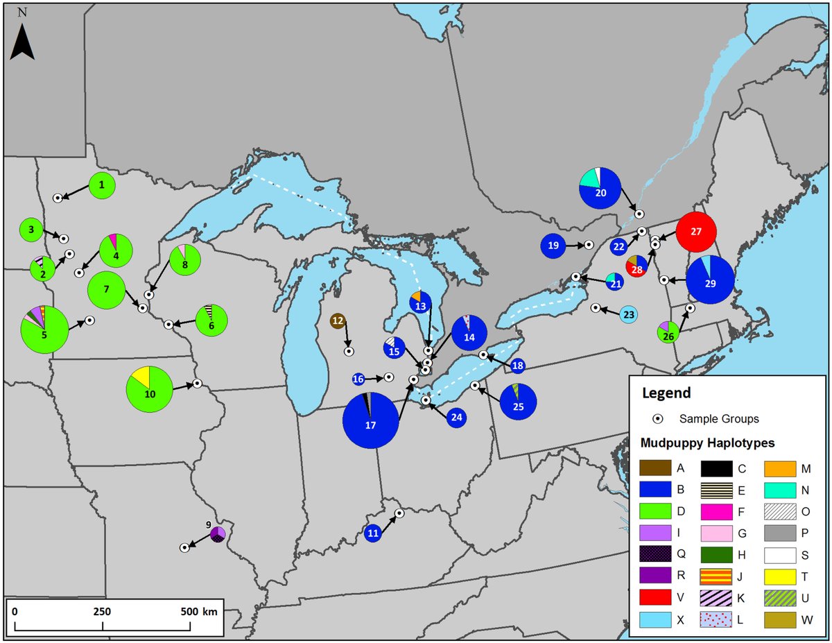 Dr. Katy Greenwald tweet media