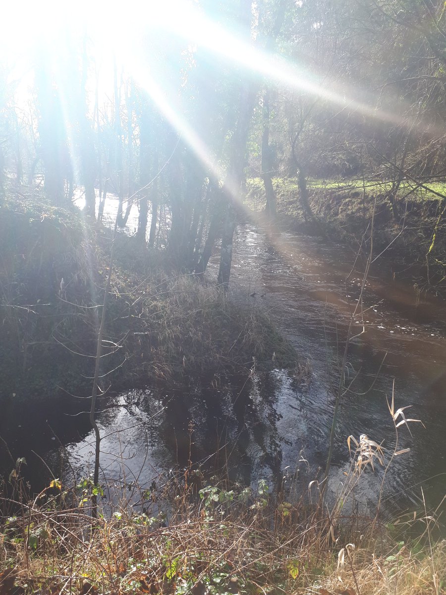 OffalyGoodWater's tweet photo. Today we assessed & sampled some of our peaty catchments #Boora, #Silver (Kilcormac) & the #Pollagh stream #Offaly. We hope to re-assess these again later on in the Summer. https://t.co/BCpR6ieyAV