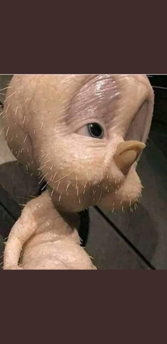 PuziMzi's tweet photo. @danielmarven Taniel catching feelings and he can't sleep https://t.co/VjWuzj1IJ5