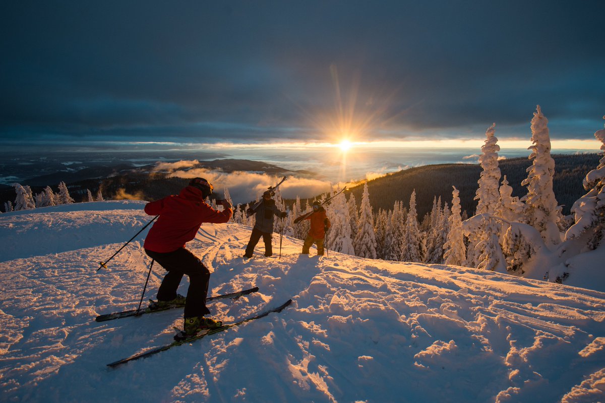 SilverStar Mountain Resort (@silverstarmr) on Twitter photo Our night skiing terrain has something for everyone, greens, blue's and BLACK'S! <a href="/SilverStarMR/">SilverStar Mountain Resort</a> #iExploreChat Our night skiing terrain has something for everyone, greens, blue's and BLACK'S! <a href="/SilverStarMR/">SilverStar Mountain Resort</a> #iExploreChat
