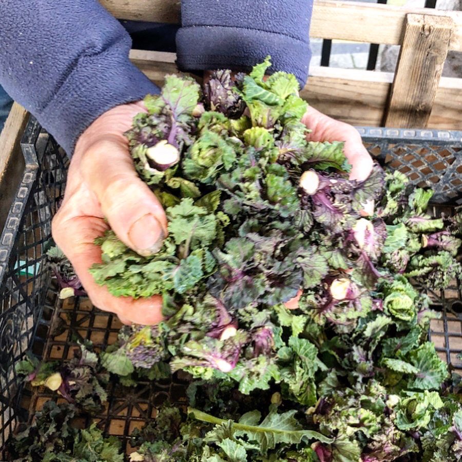 Hay Markets Ltd tweet media