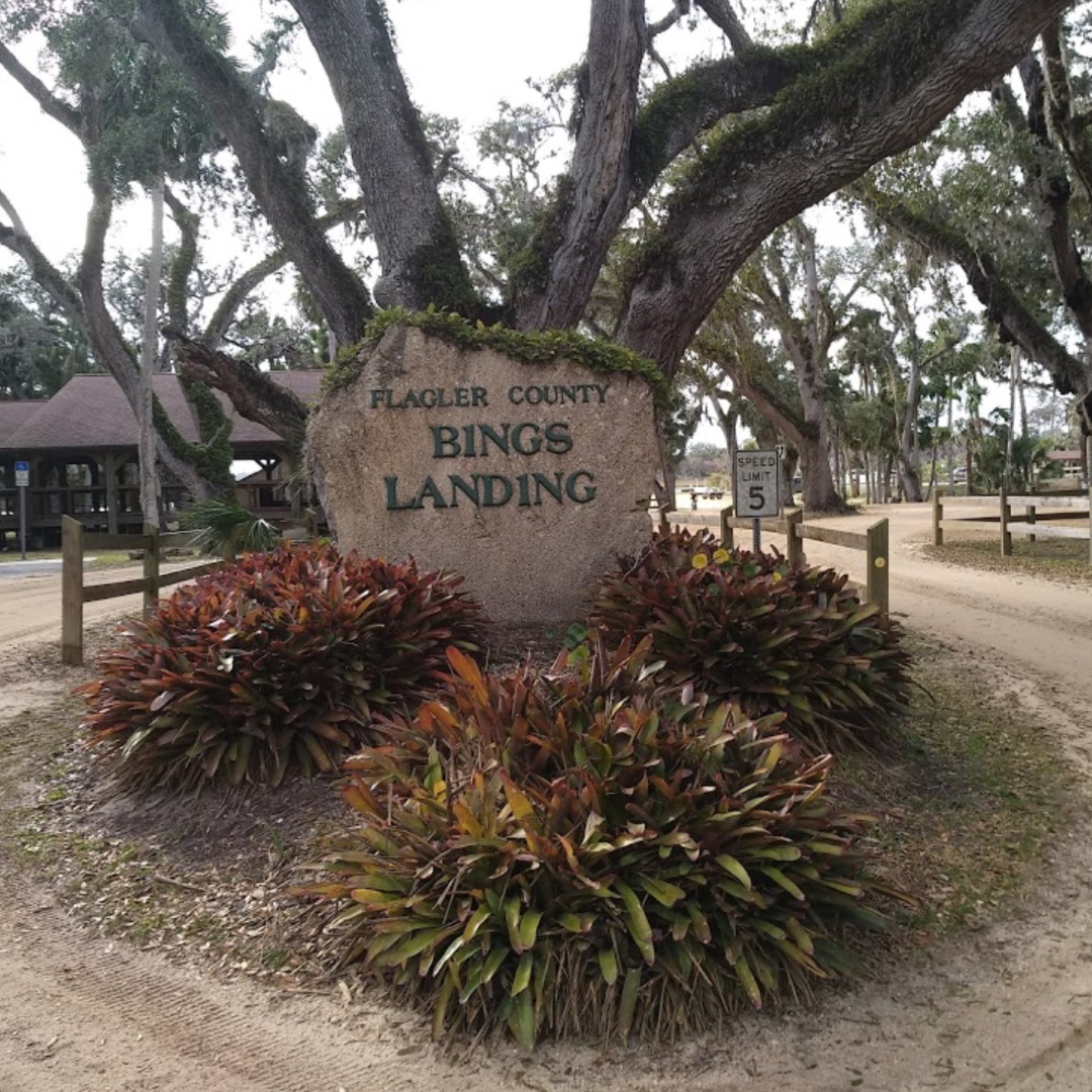 Are you in town for the races? Take a ride up A1A and come see what Captain's BBQ is all about! We are located in the Hammock at Bing's Landing!