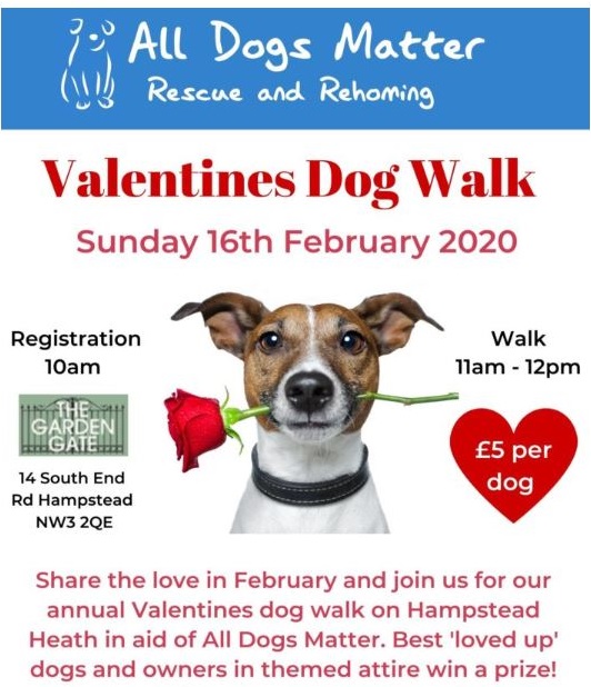 all dogs matter rescue