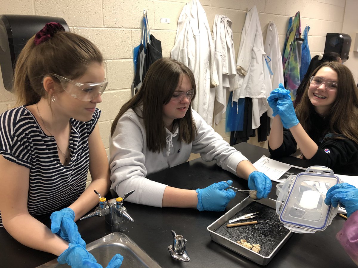 Sara Kloot tweet media