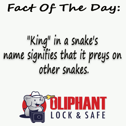 oliphantlock's tweet photo. Here is today's king sized #WednesdayWisdom https://t.co/bXaYTOq5PC