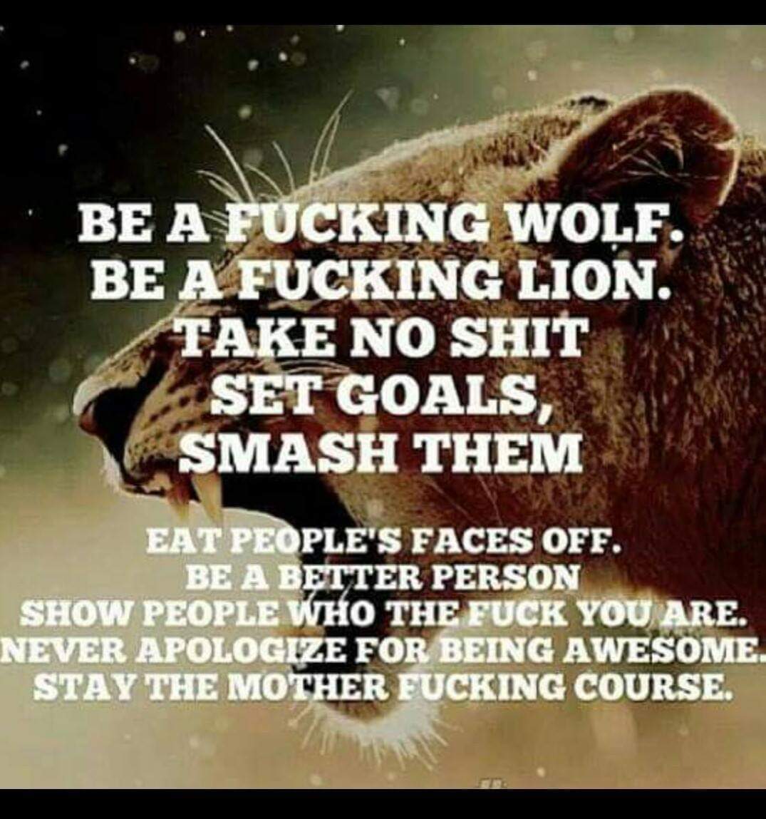 My new modo for this year