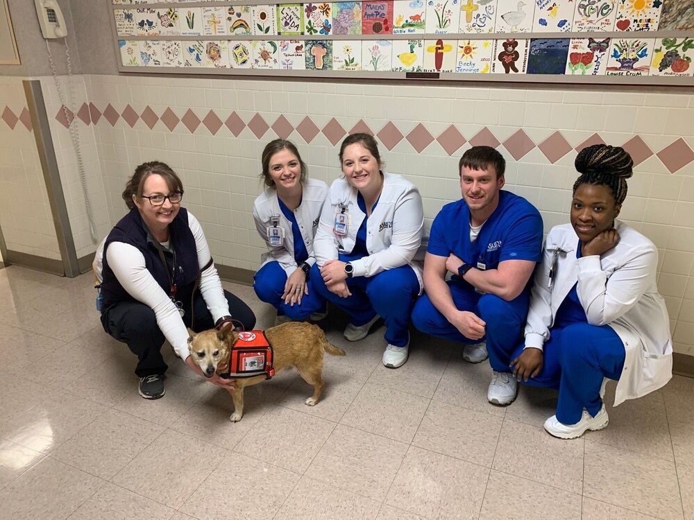 ASUNewport's tweet photo. Congrats to our first ever cohort of Traditional Registered Nursing students. They just started their final semester and will graduate in May! #ASUNewport #RN #Nurse #TimeToSoar https://t.co/6U0r6x6AFm