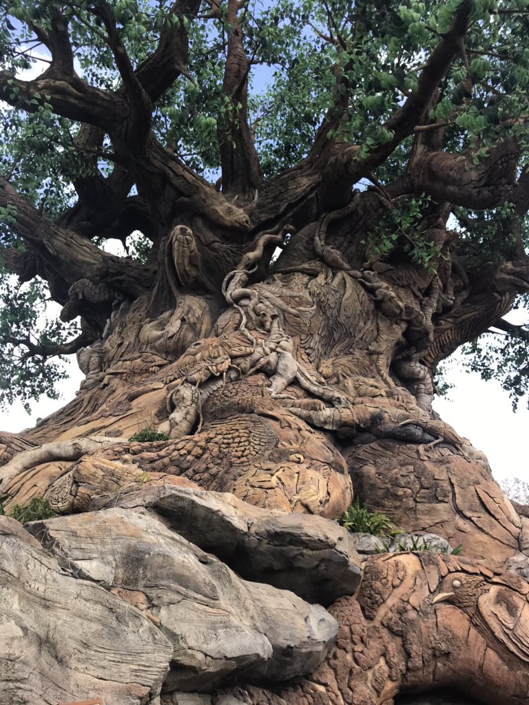JCD_Science's tweet photo. #JCDNASA are now learning about sustainability in #DisneyAnimalKingdom with #Disneyyouthprograms! Making their world and ours a better place #NASAspacecamp20 #groundcontroltomajortom https://t.co/j3oB13bHEO
