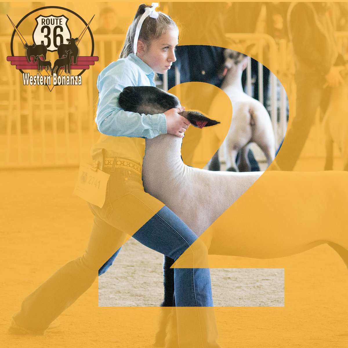 It’s getting so close! #Bonanza36 is just 2 days away! #WB2020 #2days #finalcountdown