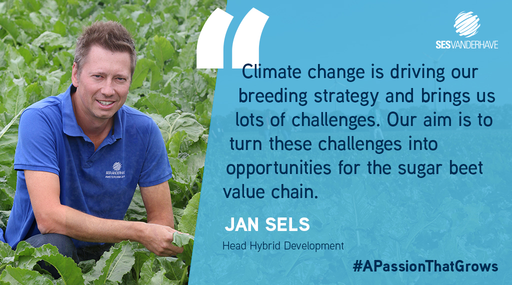sesvanderhave's tweet photo. Yesterday, at the IIRB congress, our Head Hybrid Development Jan Sels explained SESVanderHave’s perspective on climate change.
Click here to discover our latest publications:
https://t.co/CGwkFnCbfC
#IIRB #SugarBeetSeed 🔵
#PlantBreeding
#SESVanderHave 🌱 #APassionThatGrows https://t.co/PZBZpWTXjn