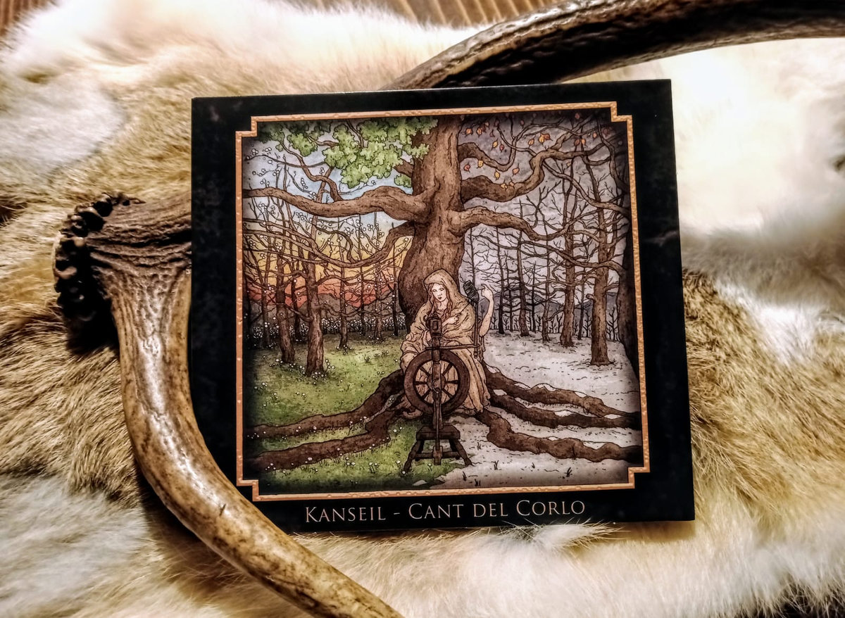 Kanseil_Official tweet media