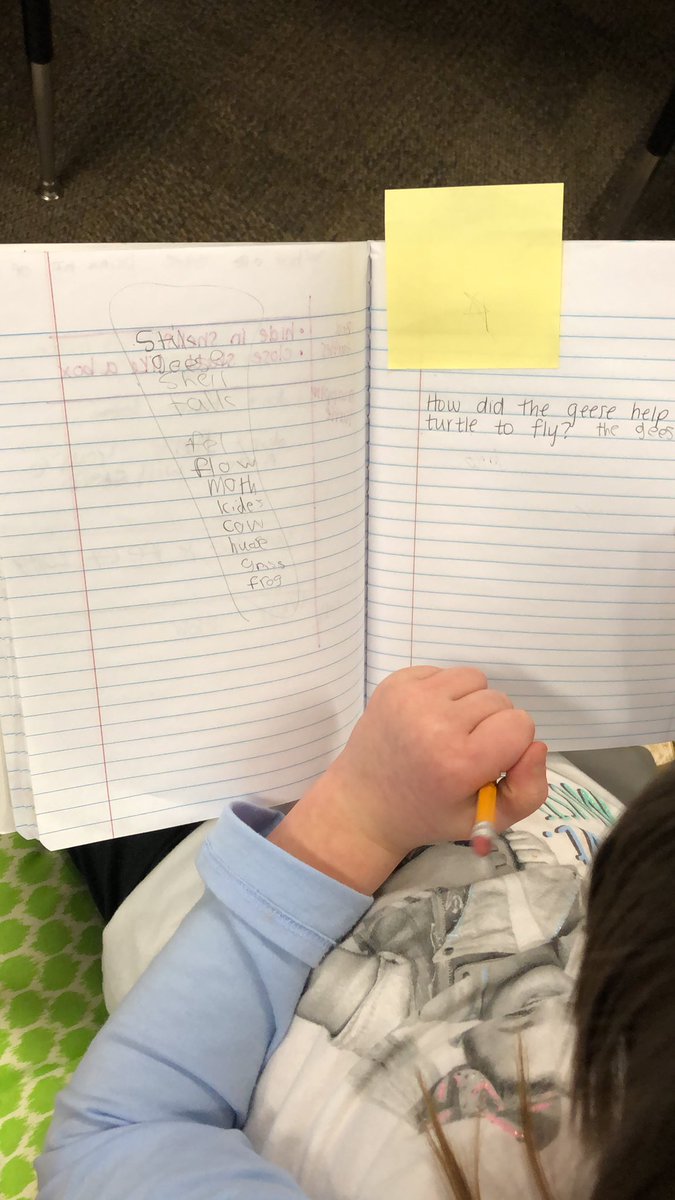 Kailin Perugini tweet media