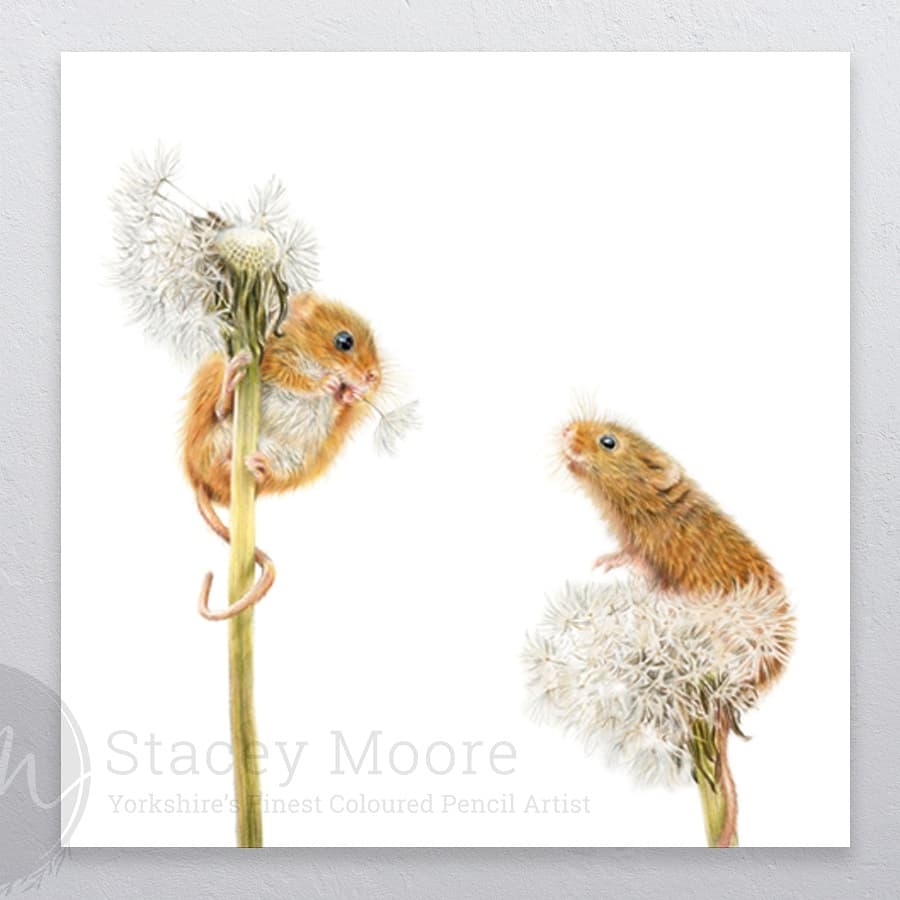 It's finished and one of my favourites so far... 'Let's Make a Wish' ☺️✨

Prints are now available from £35 online, check out our new framing options too.

The original drawing is currently available pm for details. 

staceymoore.co.uk