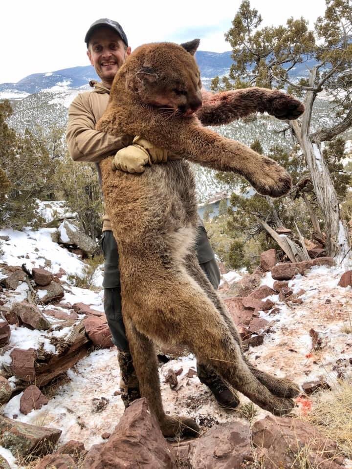 XposeTrophyHunt's tweet photo. The way mountain lions are hunted is cruel beyond words. Chased by dogs until exhausted, then they seek safety in a tree before being shot. Travis Baker showed no mercy. All he wanted was the lion trophy.😒
#BanTrophyHunting 
@zbleumoon @MamaForChange @ColoradoAveryJ @shaundubss https://t.co/ZTSI4uusP1
