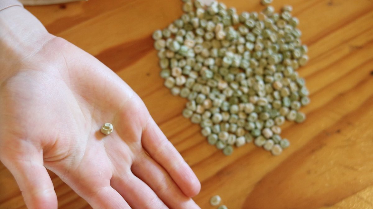 Grow Food tweet media